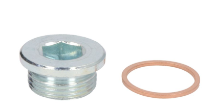 Болтова пробка картер M22x1,5 MULTICAR FUMO; SOLARIS URBINO II; IVECO DAILY I, DAILY II, DAILY III, DAILY IV, DAILY V, DAILY VI, POWER DAILY; RVI MASCOTT 25TD-VM96A (01.78-) ELRING EL877910