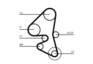 Ангренажен ремък с водна помпа к-т VOLVO C30, S40 II, S60 II, S80 II, V40, V50, V60 I, V70 III; CITROEN BERLINGO, BERLINGO MULTISPACE, BERLINGO/MINIVAN, C-ELYSEE 1.4D/1.5D/1.6D (06.04-) CONTINENTAL CT 1162 WP5