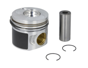 Бутало със сегменти к-т 79,51 (STD) за цилиндър 1 и 2-ри (код на двигател AVQ) AUDI A3, A4 B6; FORD GALAXY I, GALAXY MK I; SEAT ALHAMBRA, ALTEA, ALTEA XL, CORDOBA, IBIZA III, IBIZA IV, IBIZA IV SC, LEON, TOLEDO III; SKODA FABIA I 1.9D (03.95-) NPR Europa 