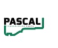 Полуоска лява AUDI A1, A4 B5; SEAT ARONA, IBIZA V; SKODA FABIA IV; VW PASSAT B5, PASSAT B5.5, POLO VI (1.0-2.8 01.95-) PASCAL G2W013PC